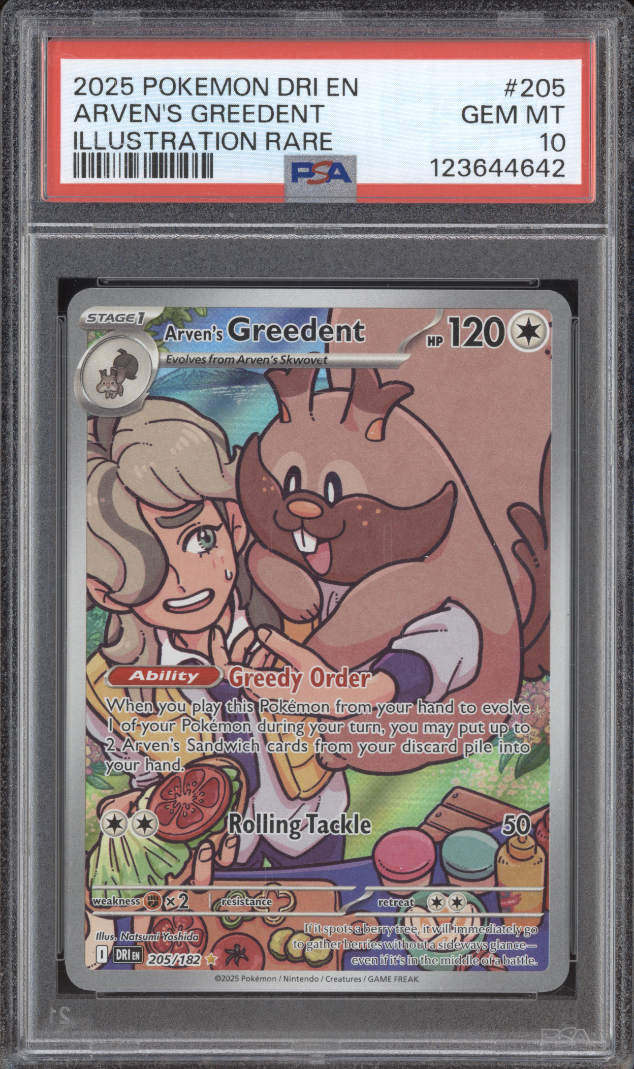 2025 Pokemon DRI EN #205 Arven's Greedent Illustration Rare — front