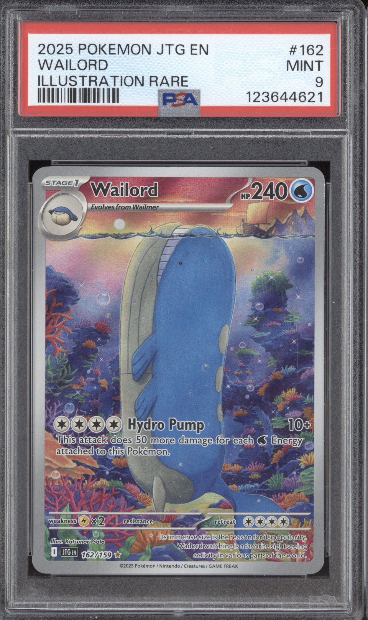 2025 Pokémon JTG #162 Wailord Illustration Rare — front