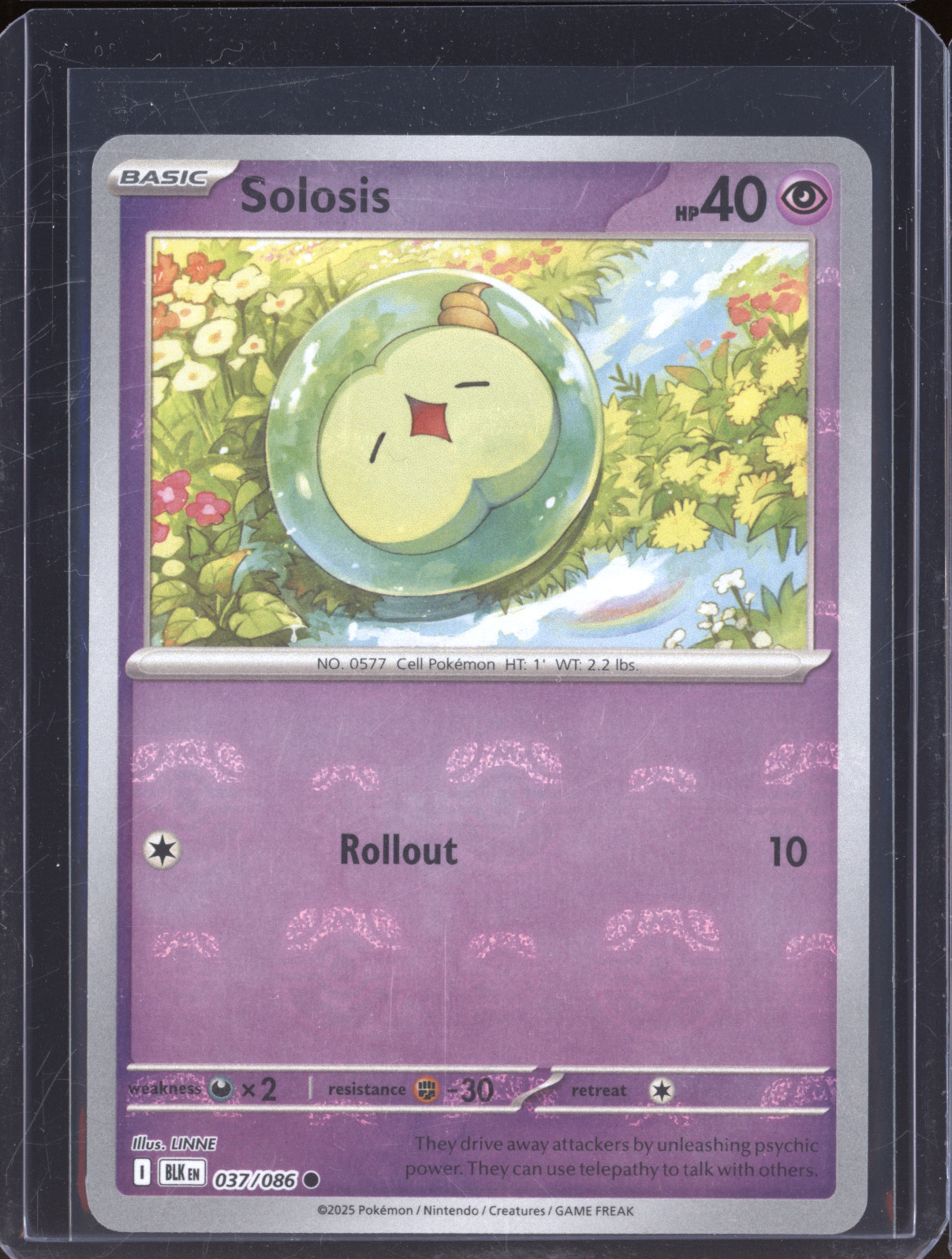 2025 Pokémon Scarlet & Violet Black Bolt #037 Solosis — front