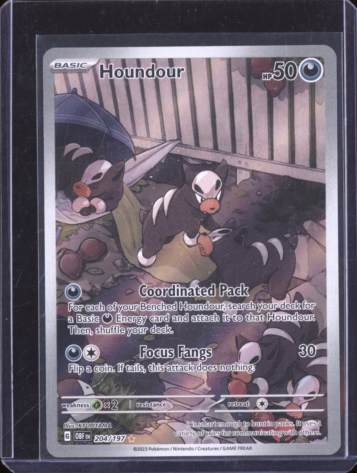 2023 Pokemon SV03: Obsidian Flames #204/197 Houndour Illustration Rare — front