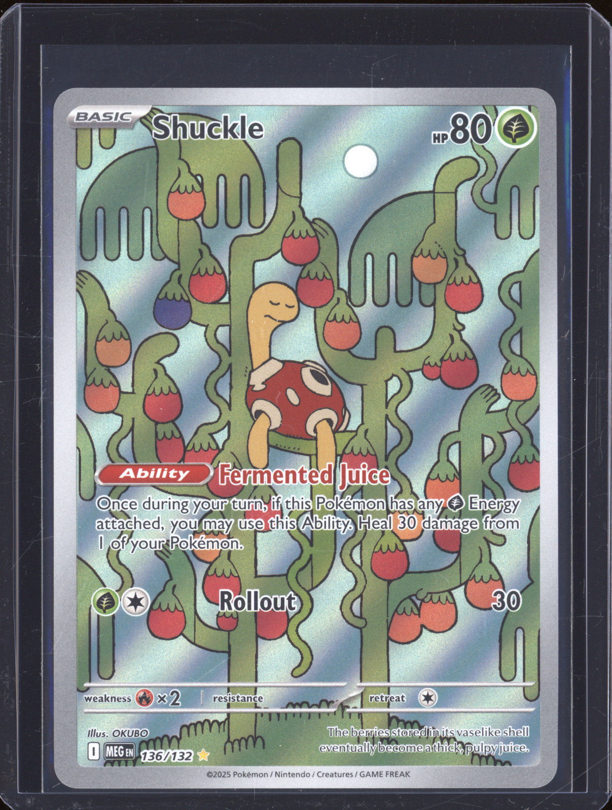 2025 Pokémon #136 Shuckle — front