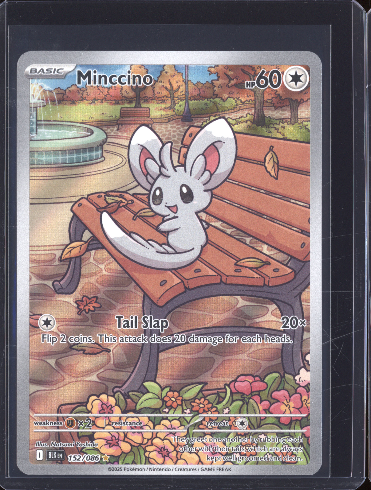 2025 Pokémon SV Black Bolt #152 Minccino — front