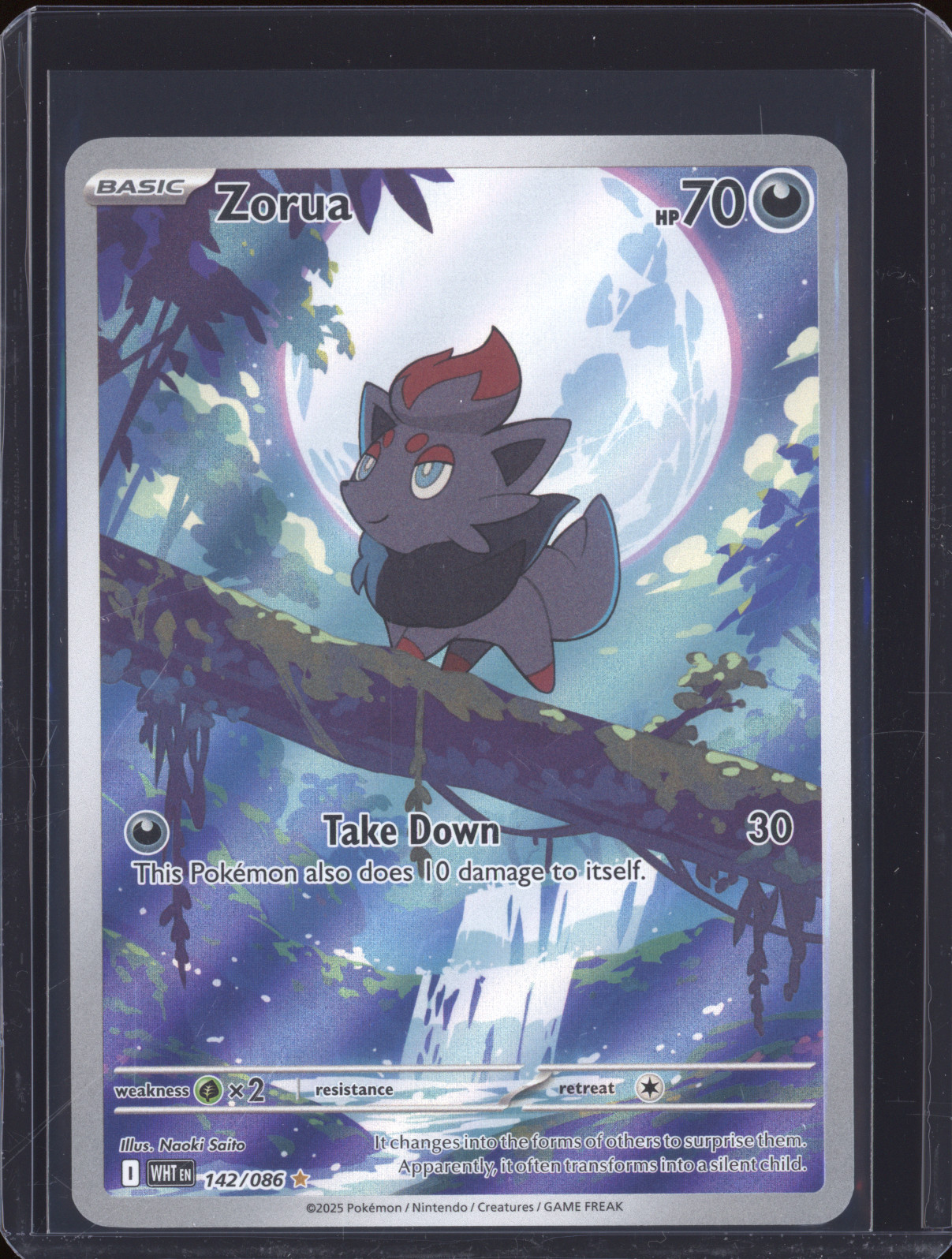 2025 Pokémon SV: White Flare #142 Zorua Illustration Rare — front