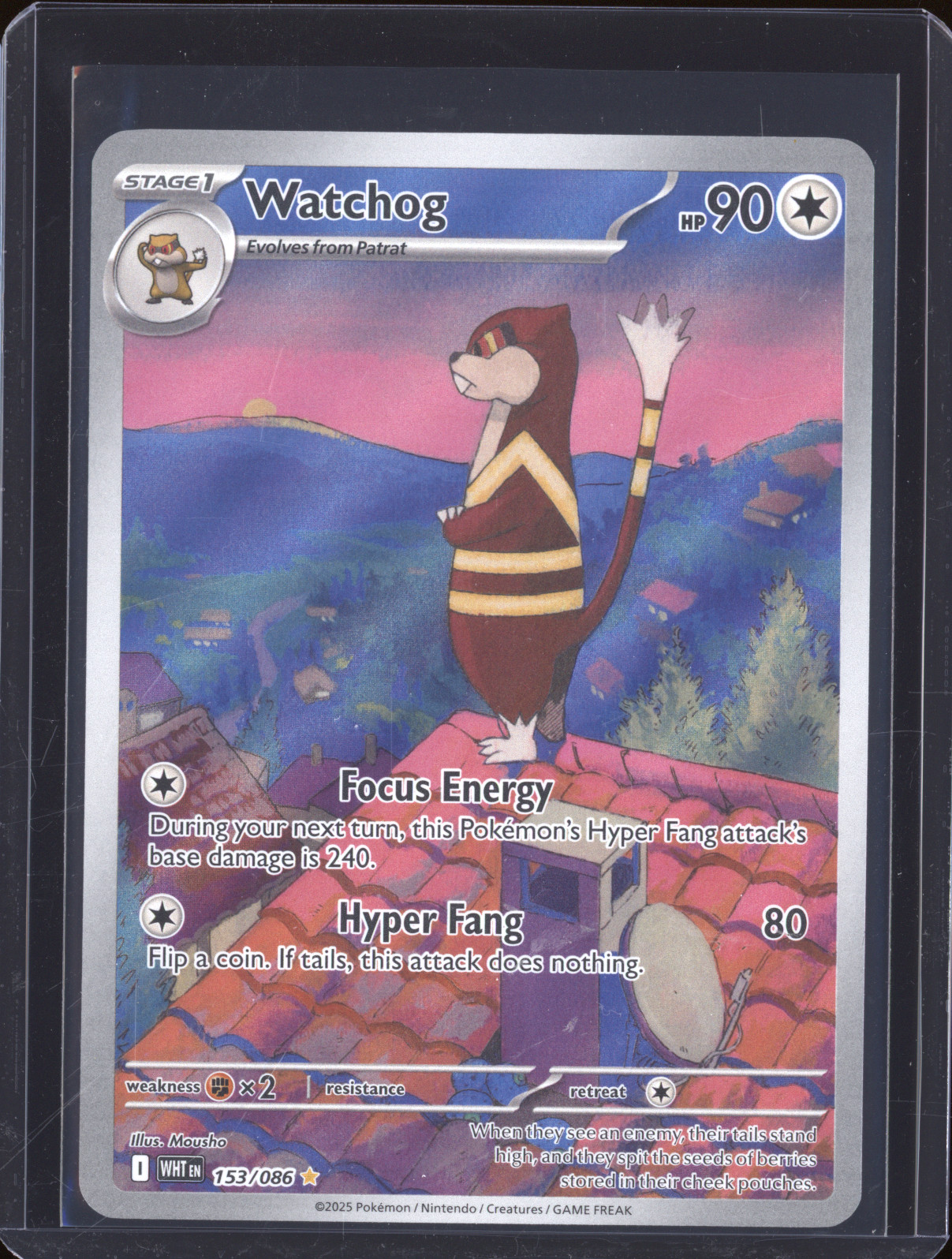 2025 Pokémon Scarlet & Violet White Flare #153 Watchog — front