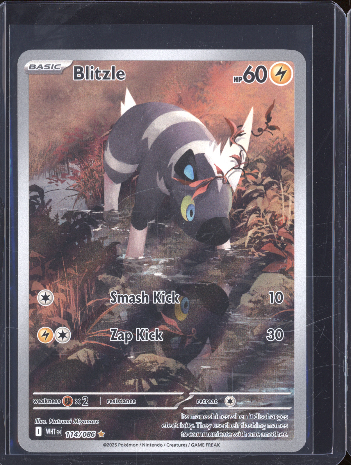 2025 Pokémon #114 Blitzle — front