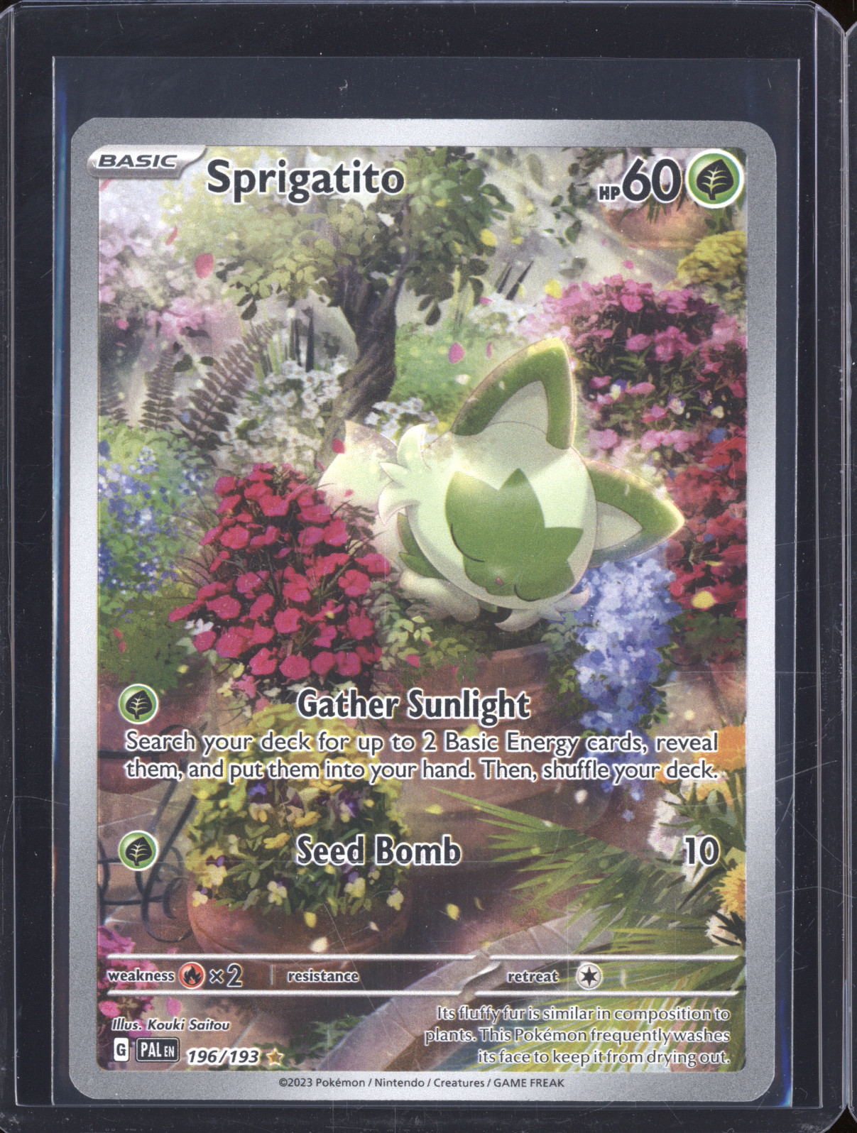 2023 Pokémon #196 Sprigatito — front