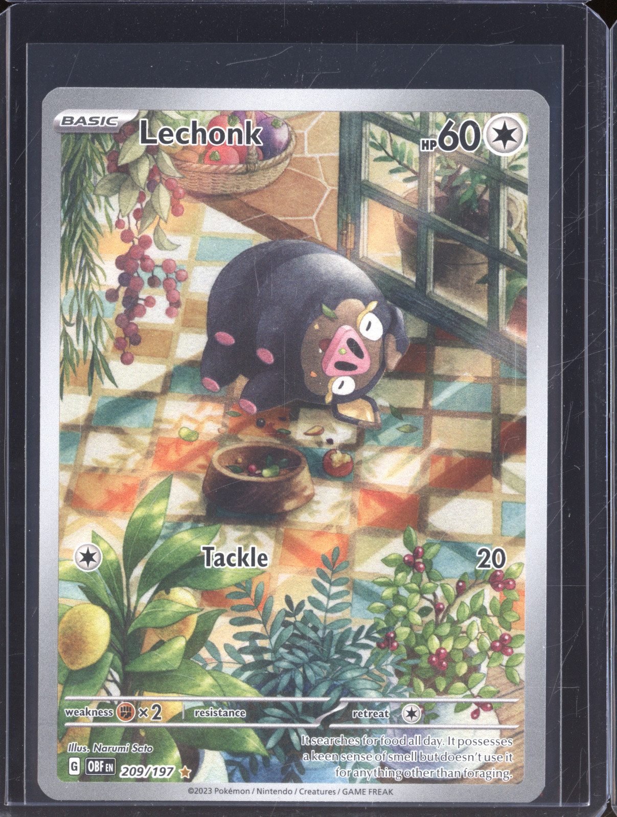 2023 Pokémon SV03: Obsidian Flames #209 Lechonk Illustration Rare — front