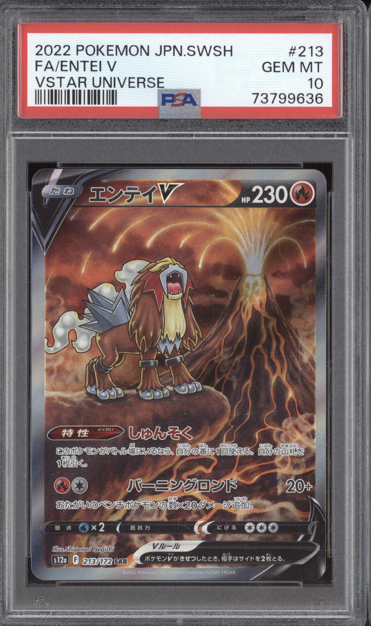 2022 Pokemon Japanese VSTAR Universe #213 Entei V — front