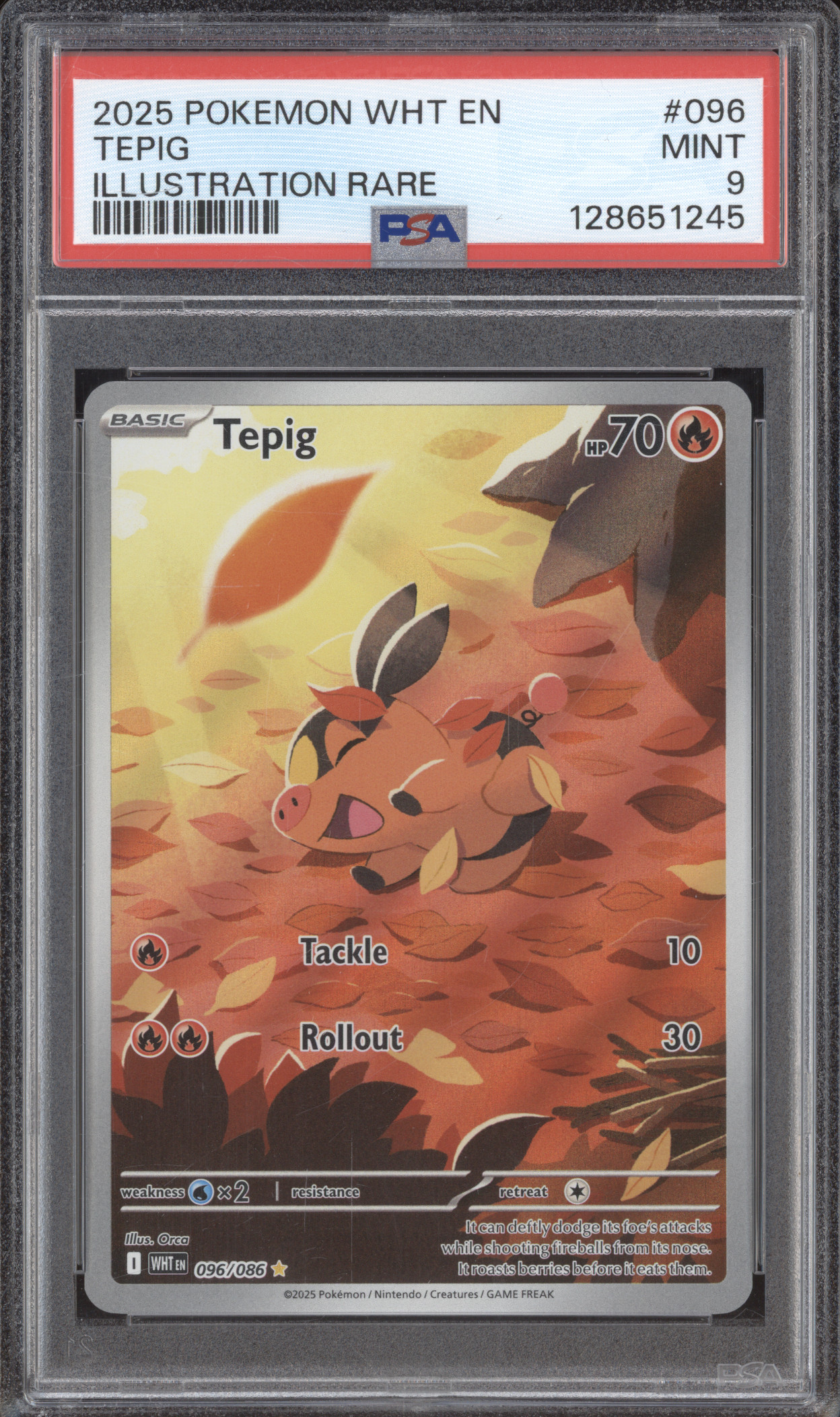 2025 Pokemon #096 Tepig — front