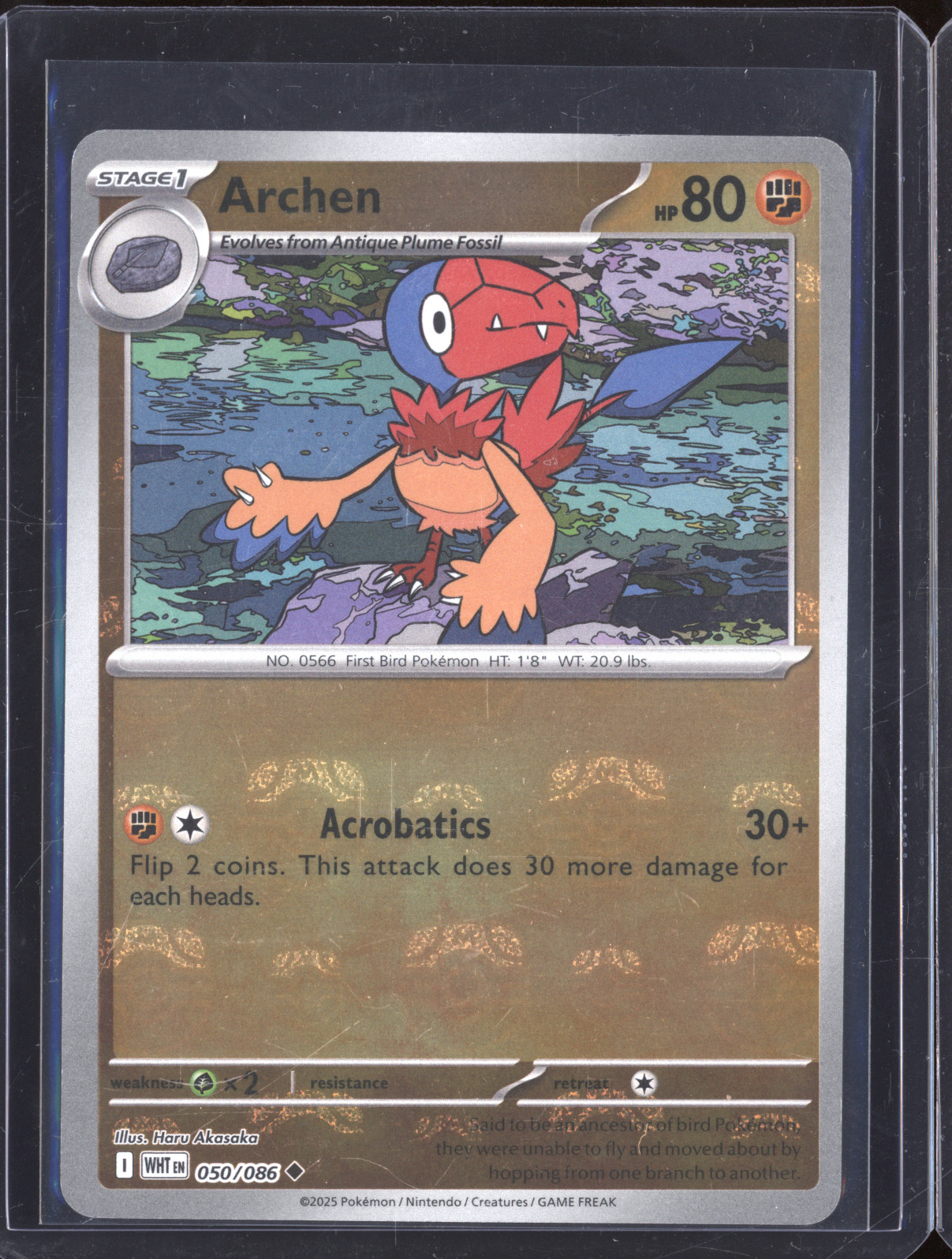 2025 Pokémon Scarlet & Violet #050 Archen — front