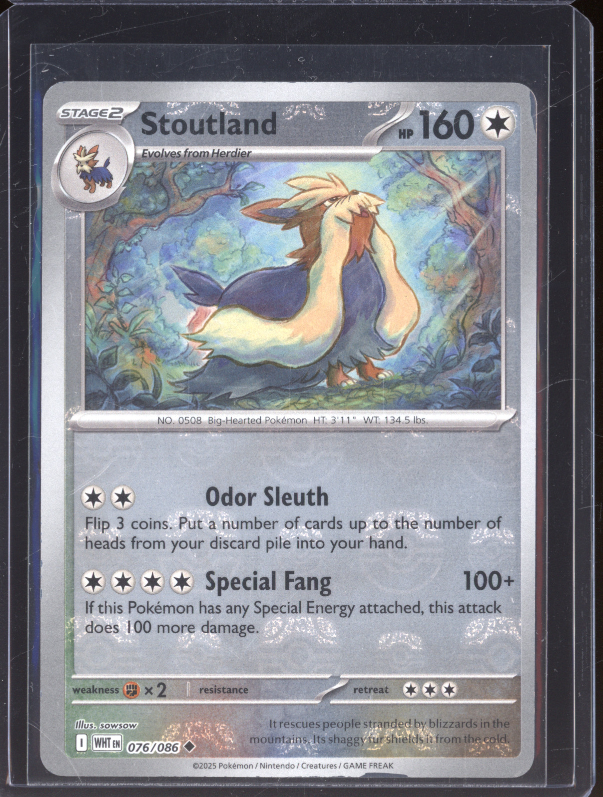 2025 Pokémon Scarlet & Violet White Flare #076 Stoutland — front