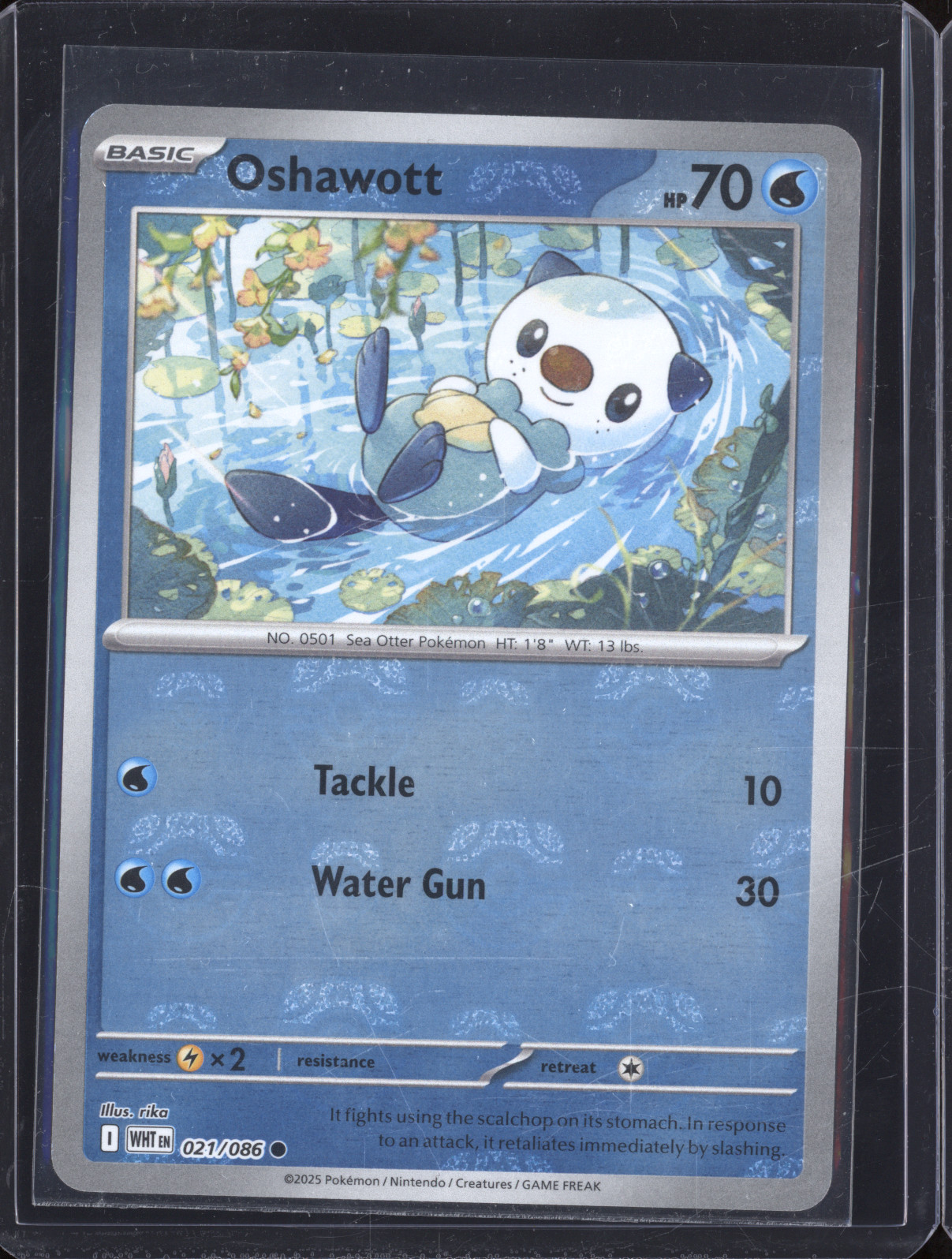 2025 Pokémon Scarlet & Violet White Flare #021 Oshawott — front