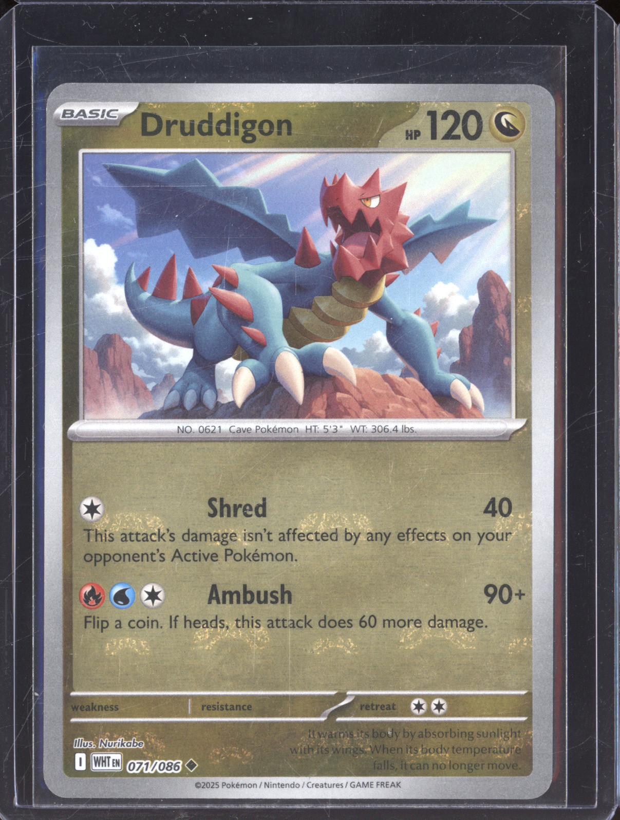 2025 Pokémon SV: White Flare #071 Druddigon — front