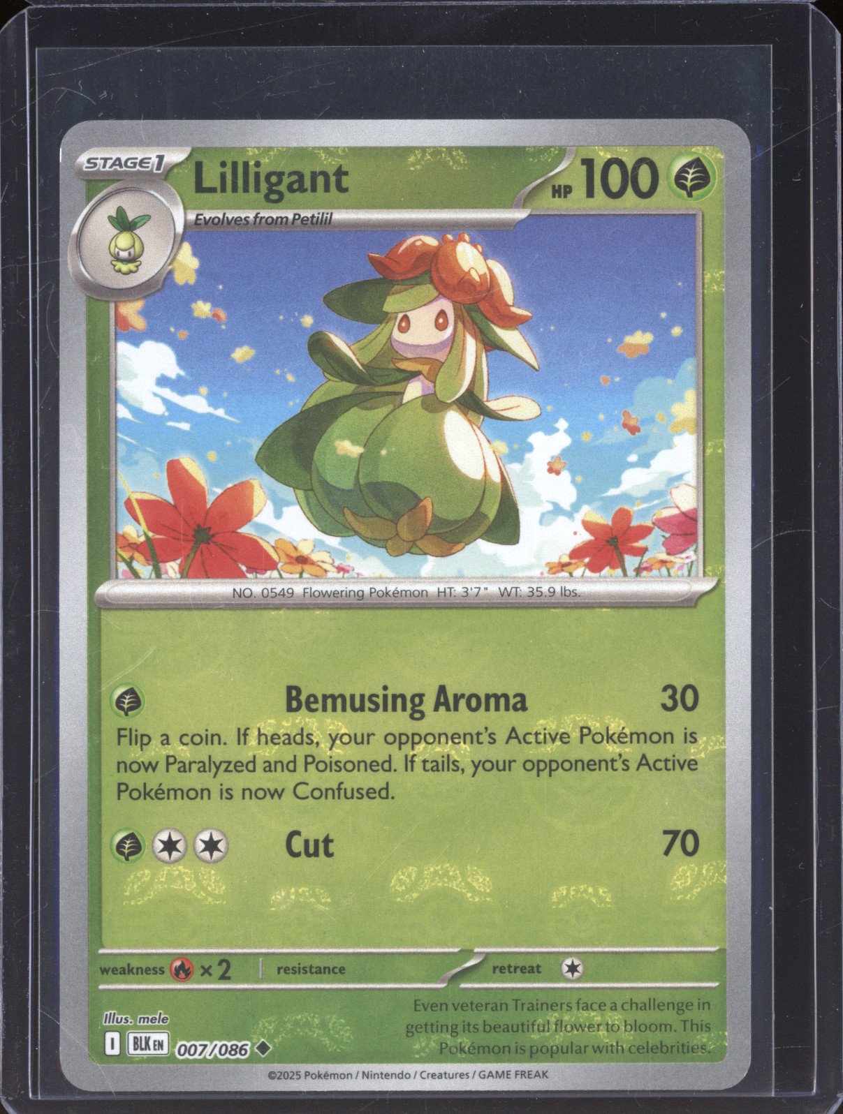 2025 Pokémon Black Bolt #007 Lilligant — front