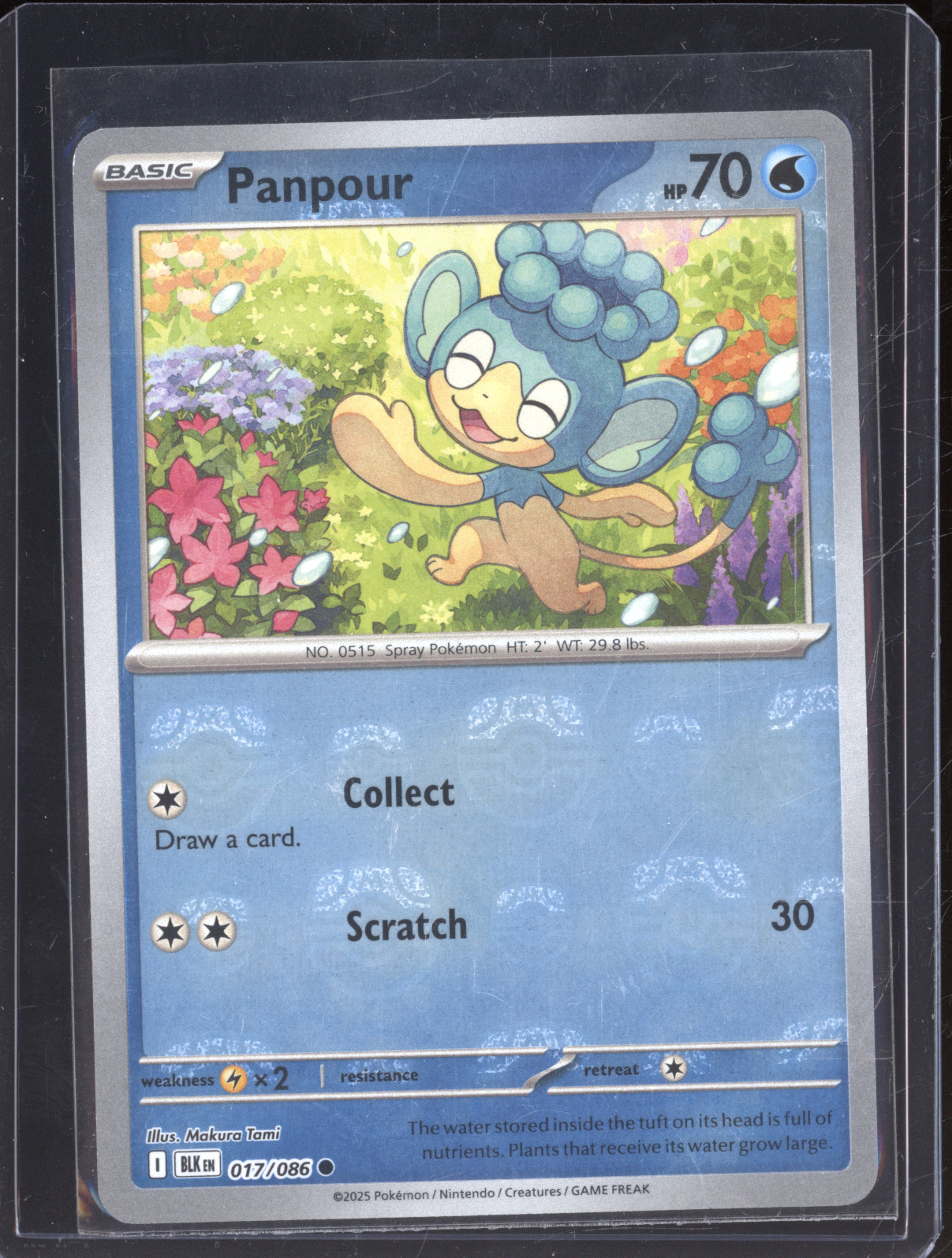 2025 Pokémon Black Bolt #017 Panpour — front