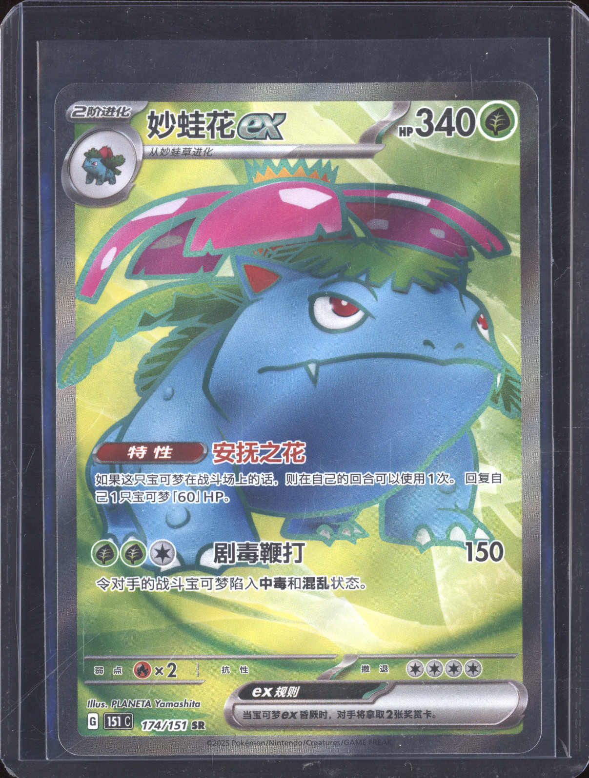 2025 Pokémon Simplified Chinese 174/151 Venusaur ex SR — front