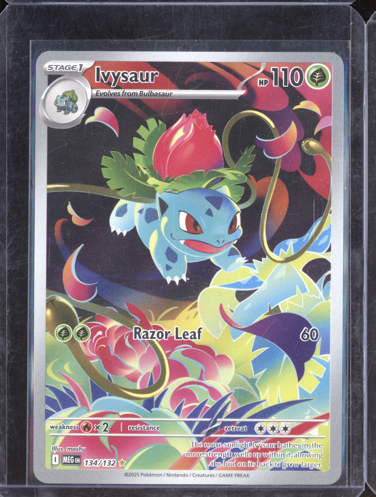 2025 Pokemon Mega Evolution #134 Ivysaur — front