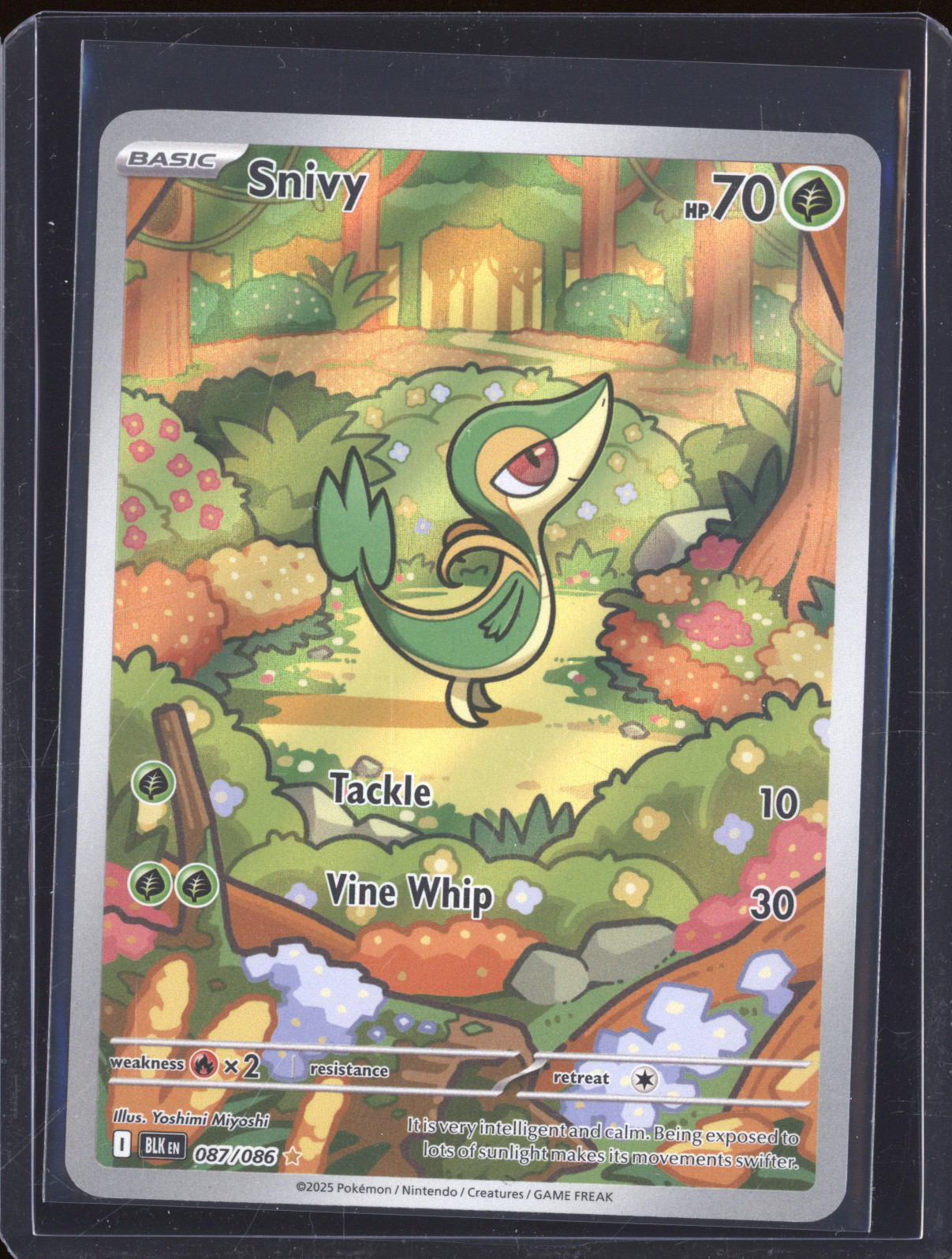 2025 Pokémon SV: Black Bolt #087 Snivy — front