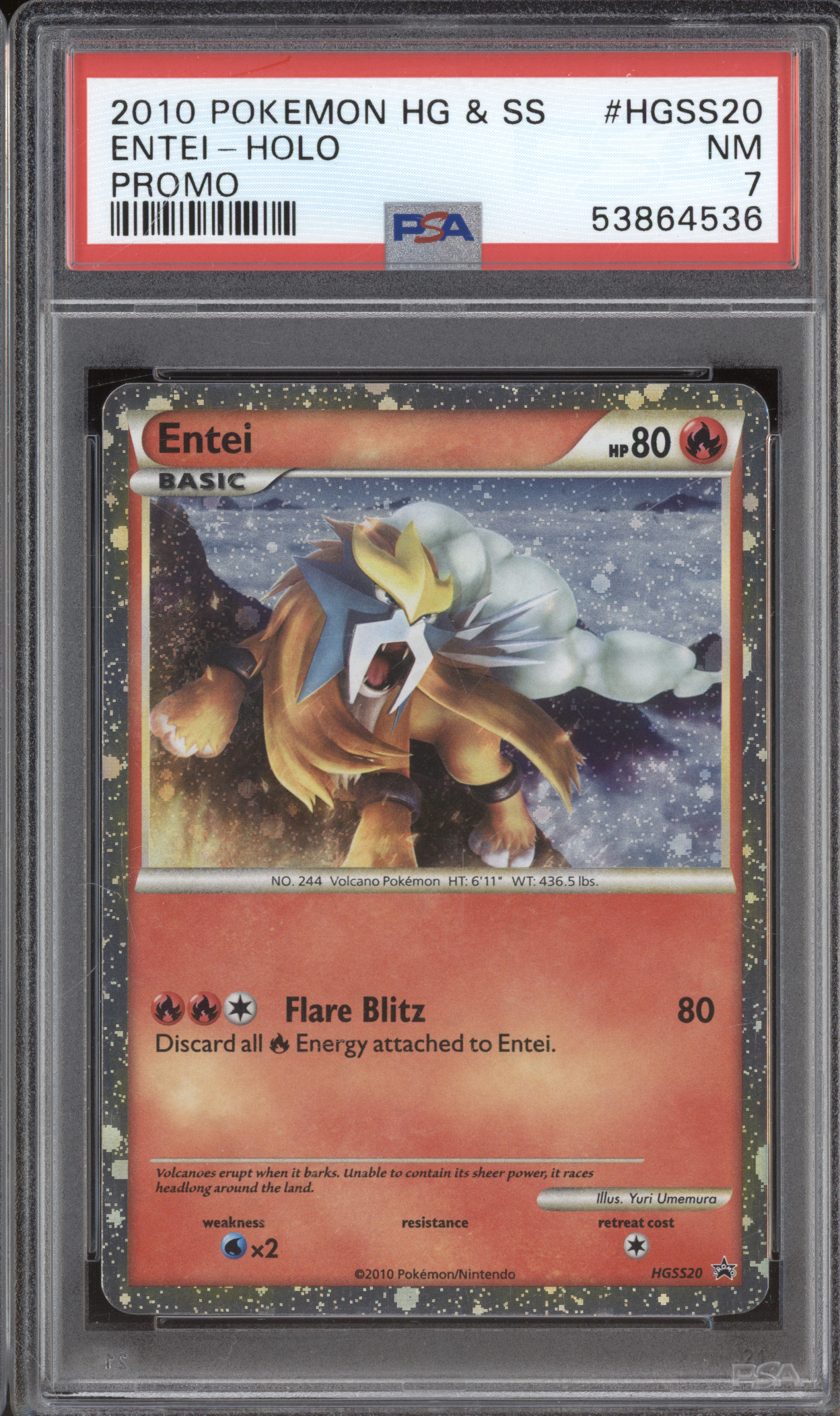 2010 Pokemon HGSS #HGSS20 Entei Holo Promo — front