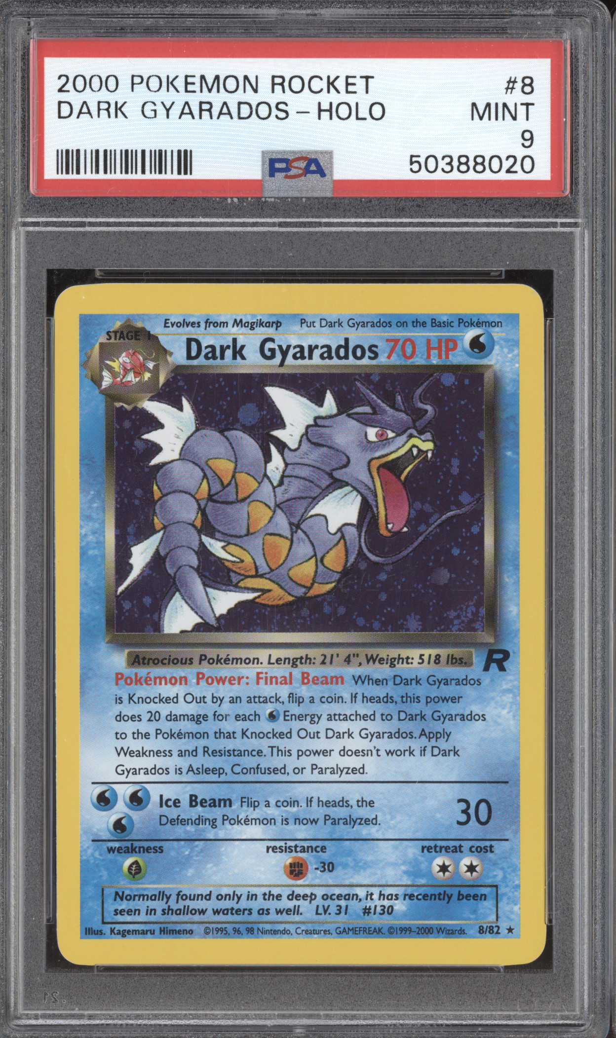 2000 Pokemon Rocket #8 Dark Gyarados Holo — front