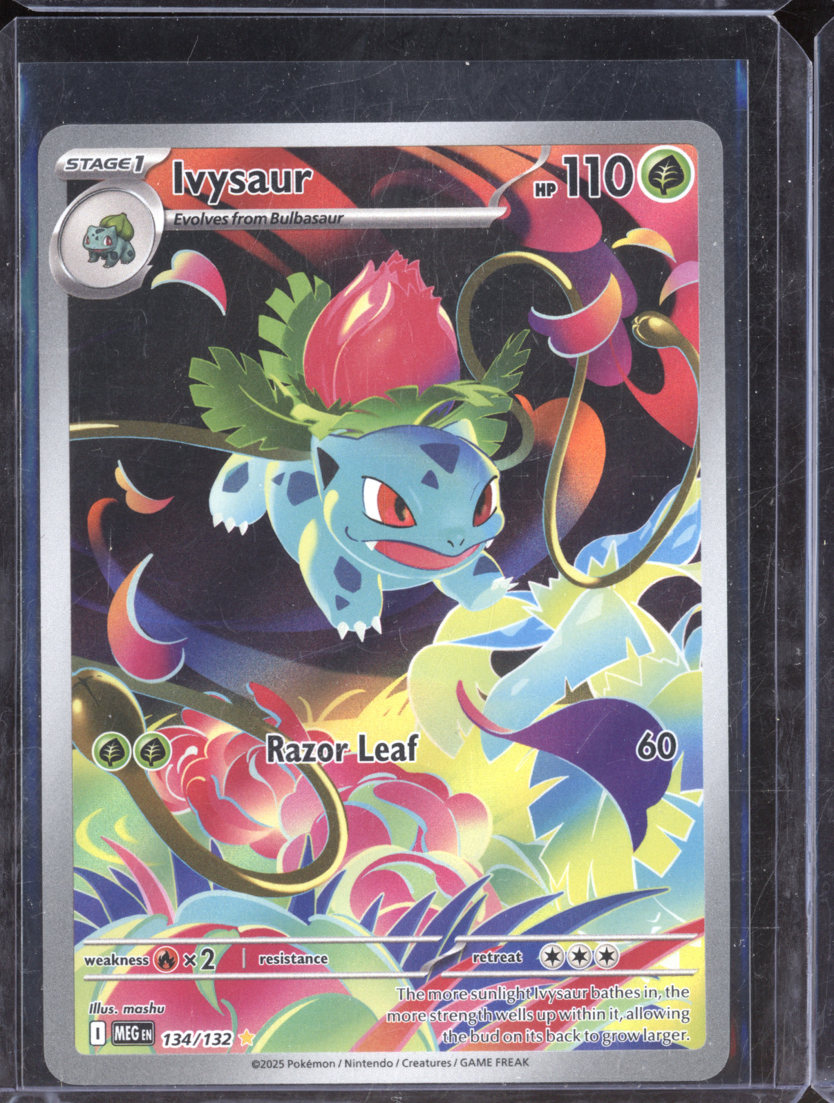 2025 Pokemon Mega Evolution #134 Ivysaur Illustration Rare — front