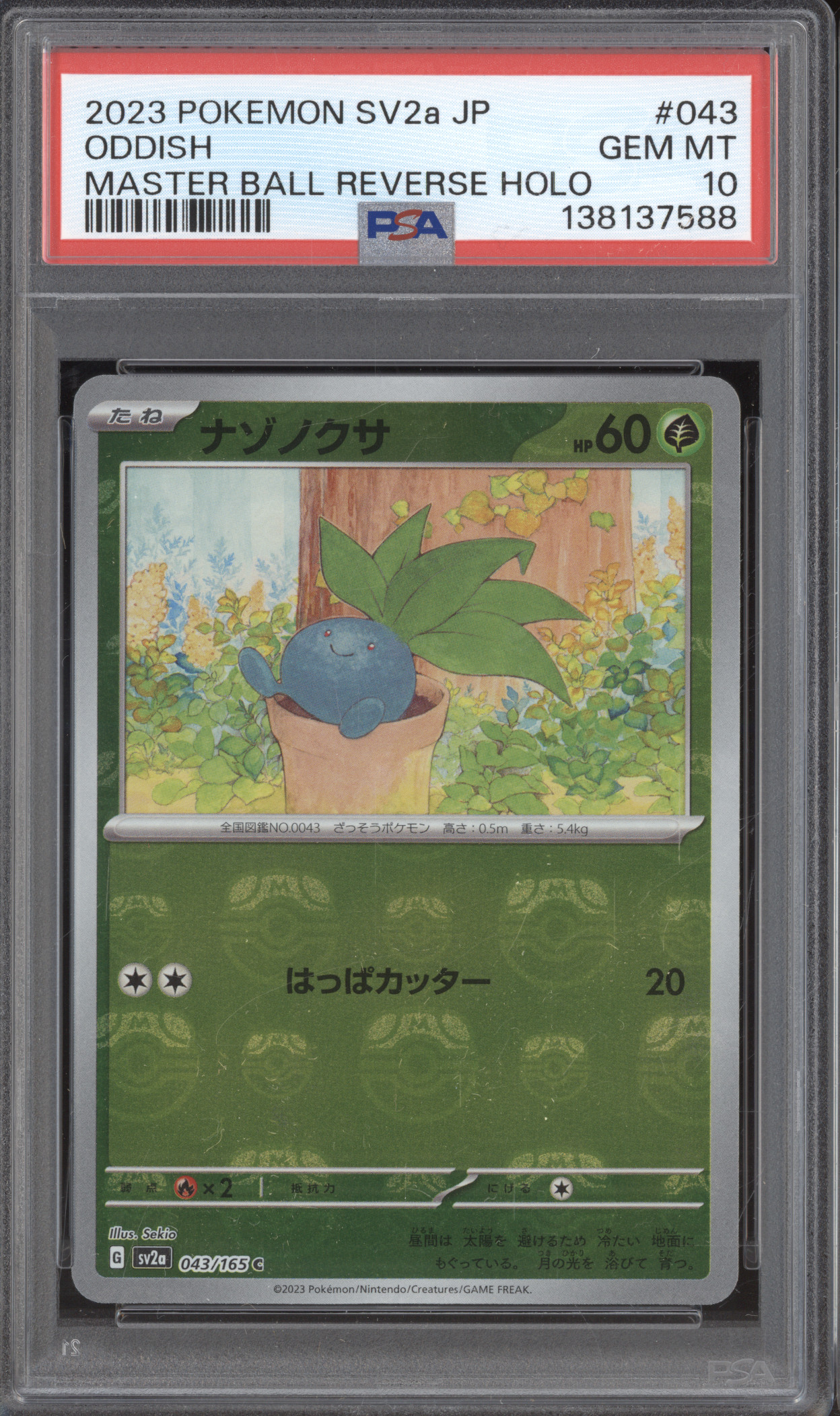 2023 Pokemon SV2a #043 Oddish — front