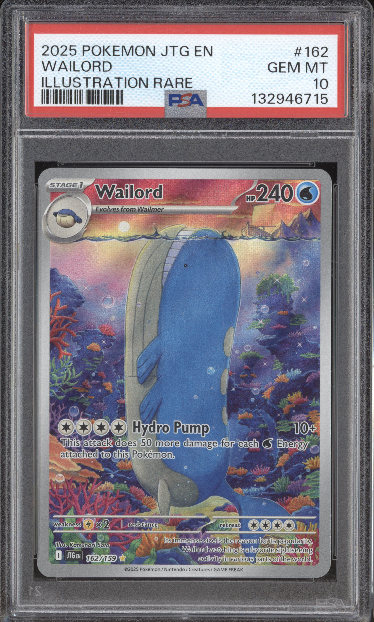 2025 Pokémon JTG #162 Wailord Illustration Rare — front