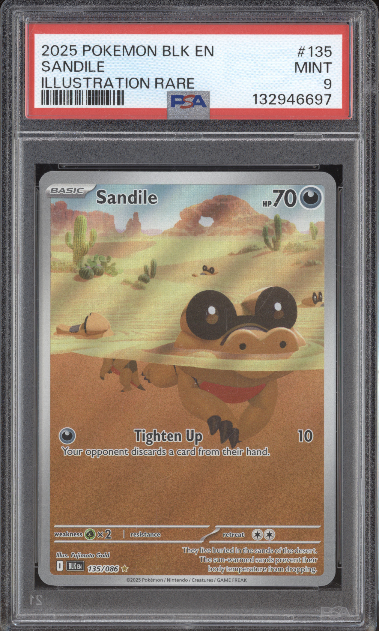 2025 Pokémon #135 Sandile Illustration Rare — front