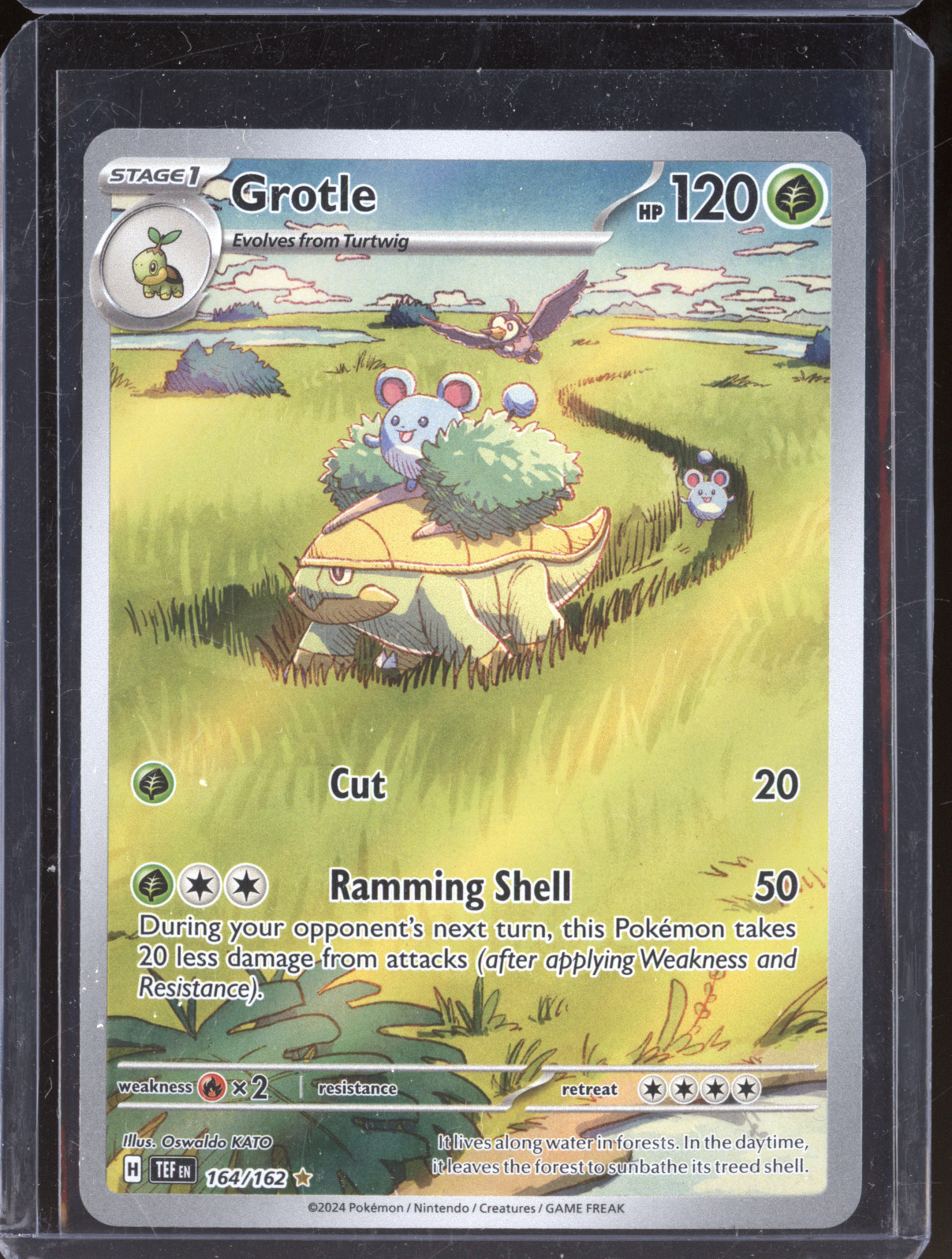 2024 Pokémon SV05: Temporal Forces #164 Grotle — front