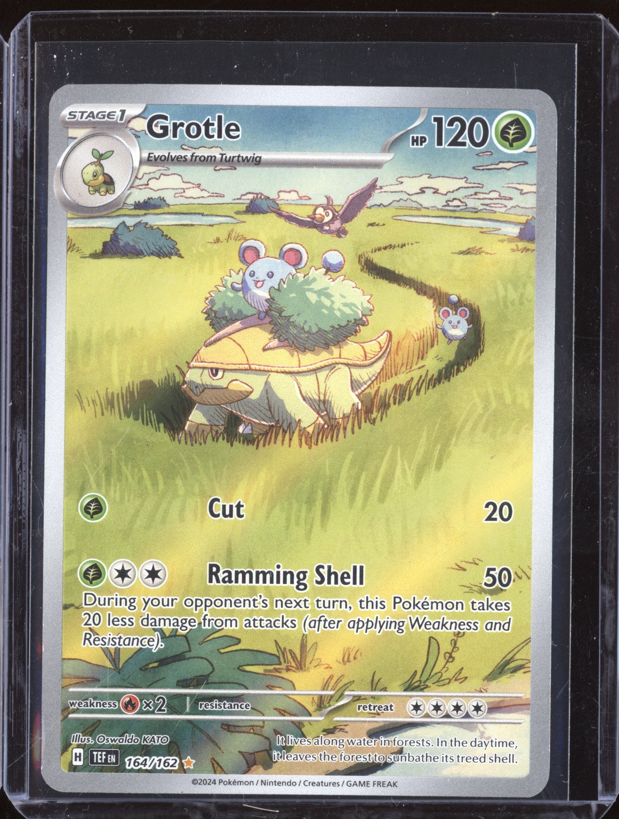 2024 Pokemon Temporal Forces #164 Grotle Illustration Rare — front