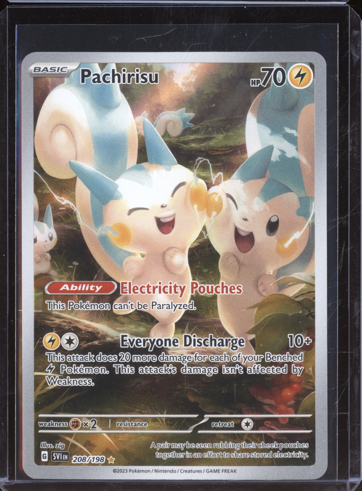 2023 Pokemon Scarlet & Violet #208 Pachirisu Illustration Rare — front
