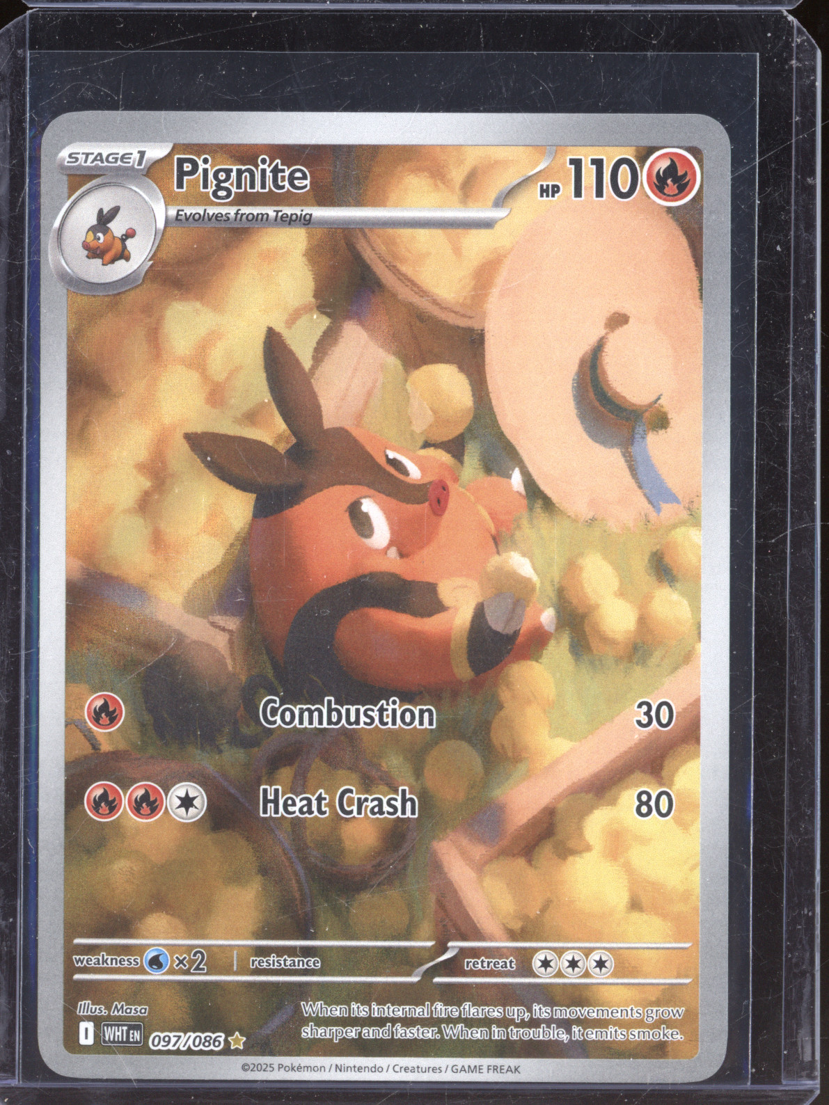 2025 Pokémon White Flare #097 Pignite Illustration Rare — front