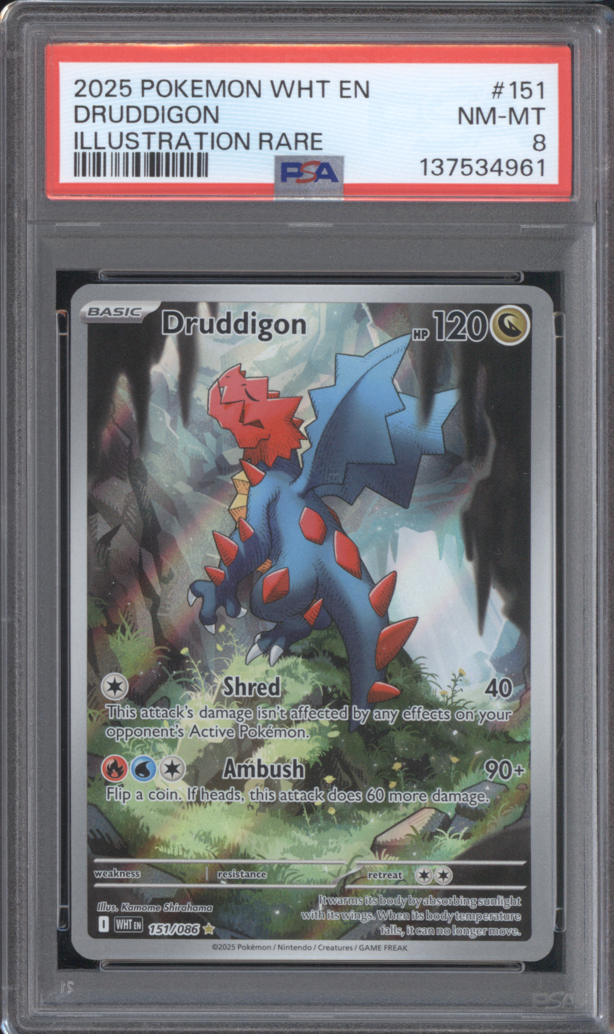 2025 Pokemon White Flare Illustration Rare #151 Druddigon — front