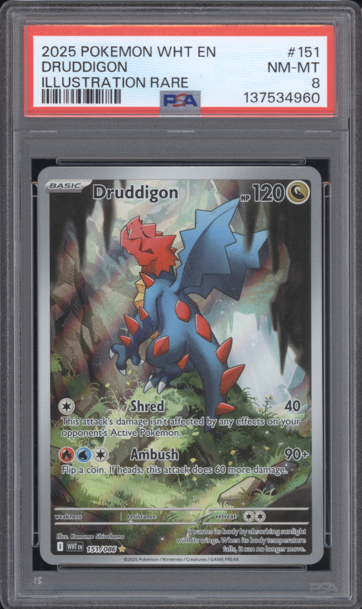 2025 Pokemon White Flare Illustration Rare #151 Druddigon — front