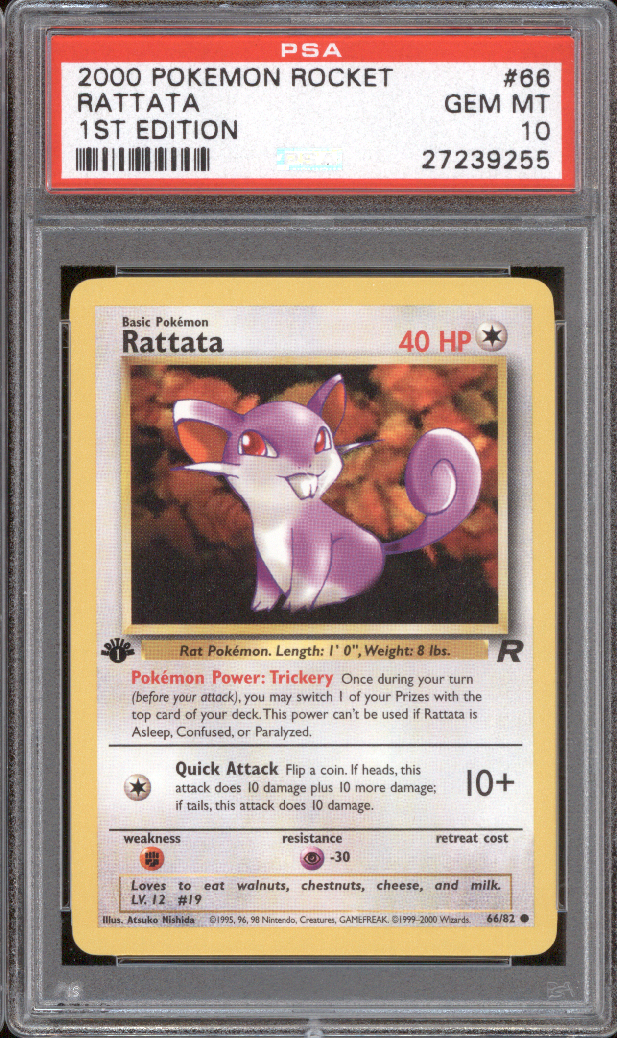 2000 Pokemon Team Rocket 1st Edition #66 Rattata — front