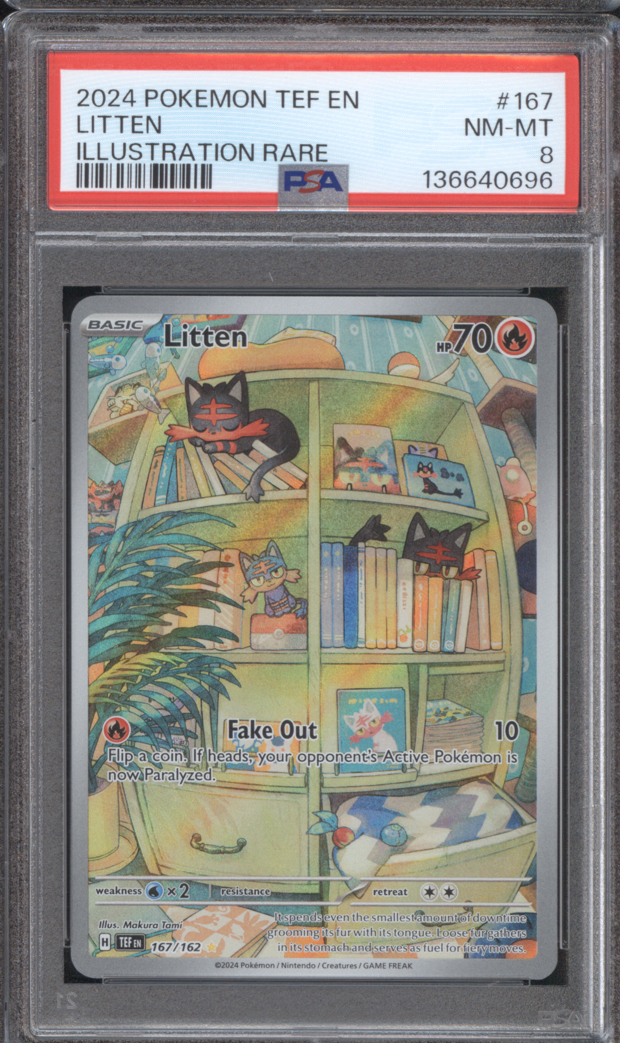 2024 Pokemon TEF EN #167 Litten Illustration Rare — front