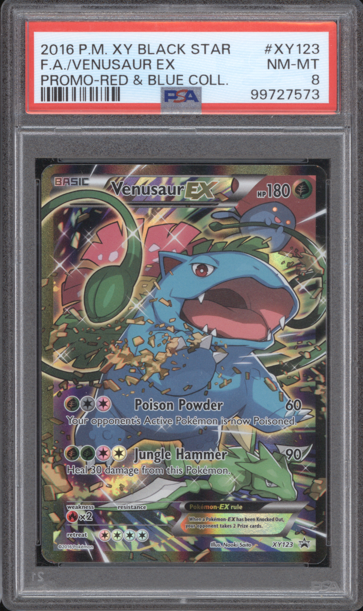 2016 Pokémon XY Black Star Promo #XY123 Venusaur EX — front