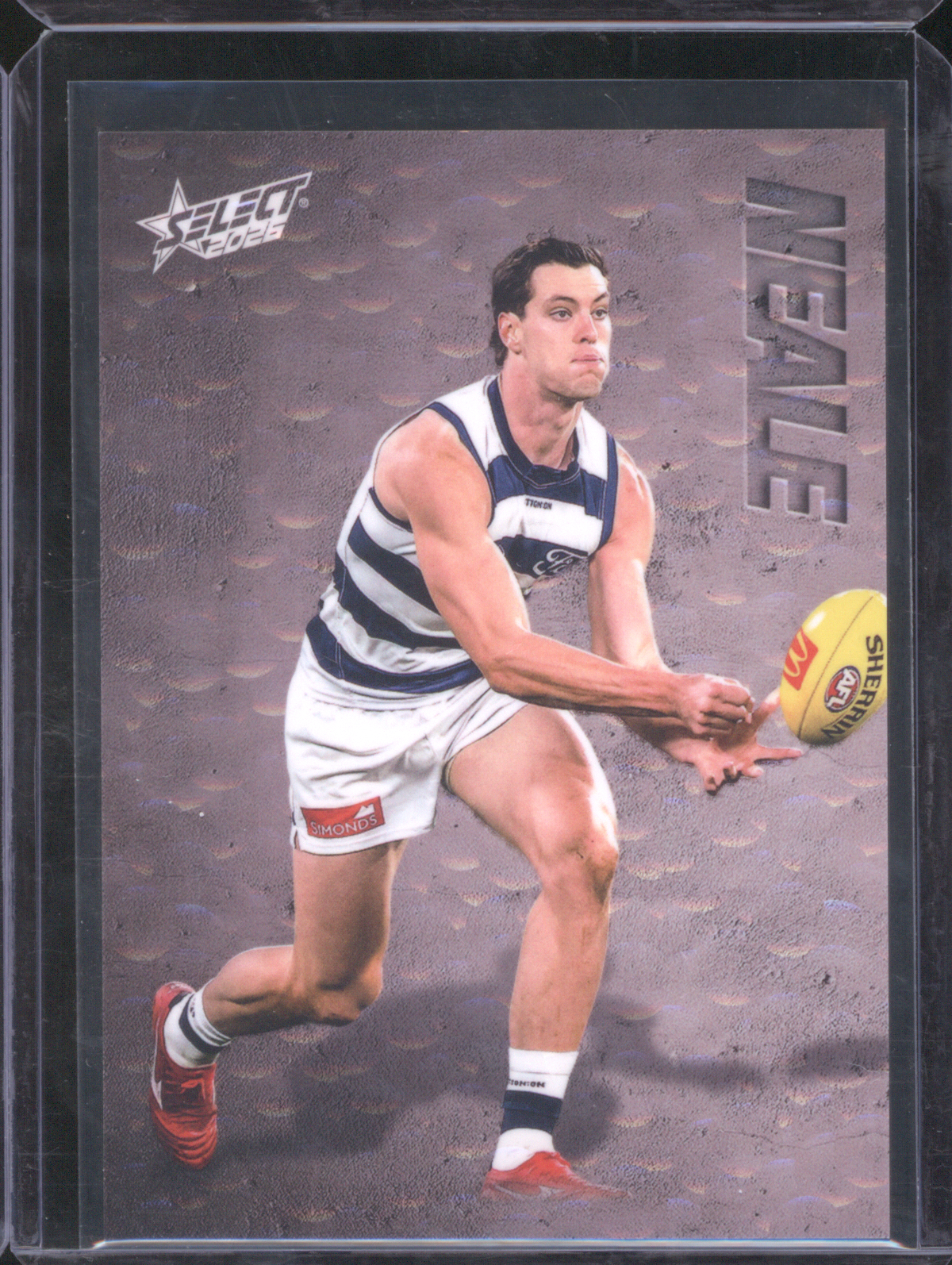2023 Select AFL Geelong Cats Player Card — front