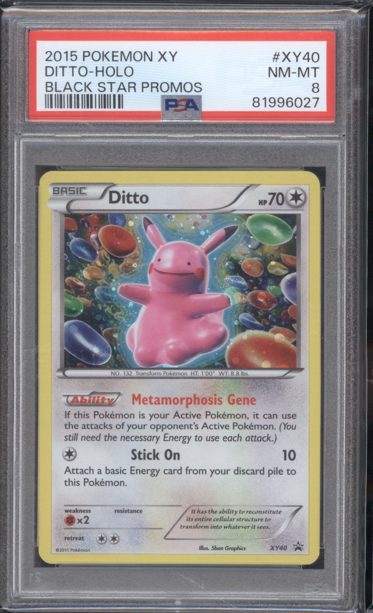 2015 Pokémon XY #XY40 Ditto — front