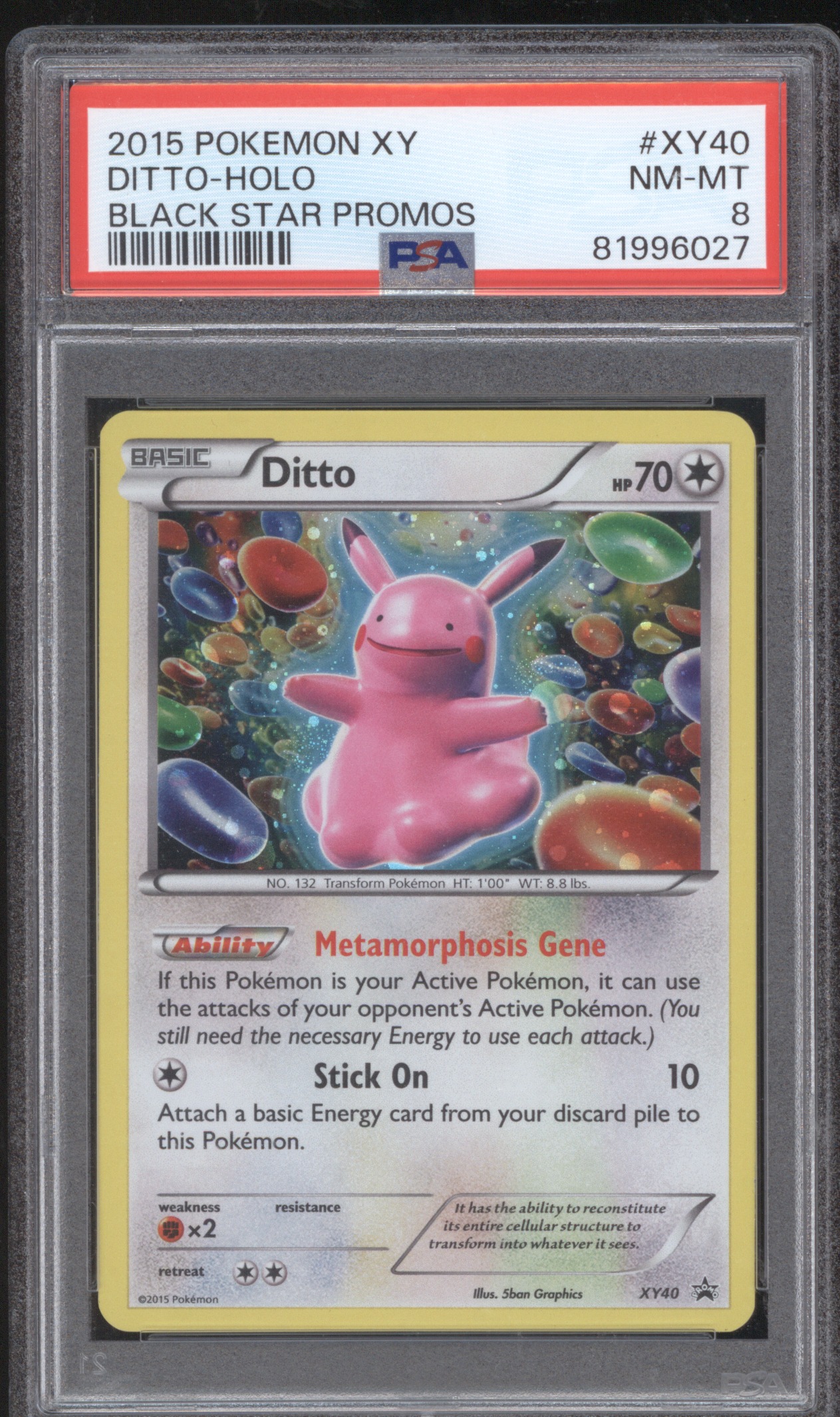 2015 Pokemon XY #XY40 Ditto Holo Black Star Promos — front