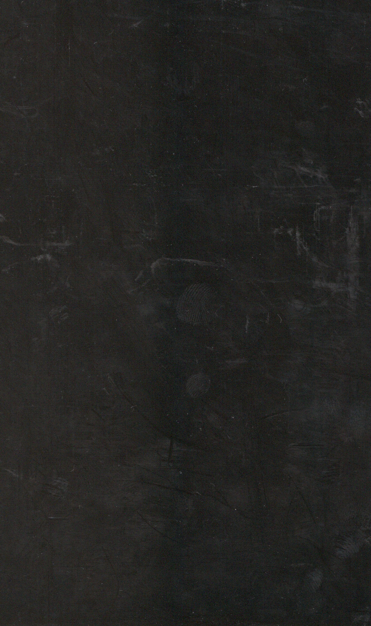 Bella Solids Black Moda 9900 99 1/2 Yard Fabric BTHY — front