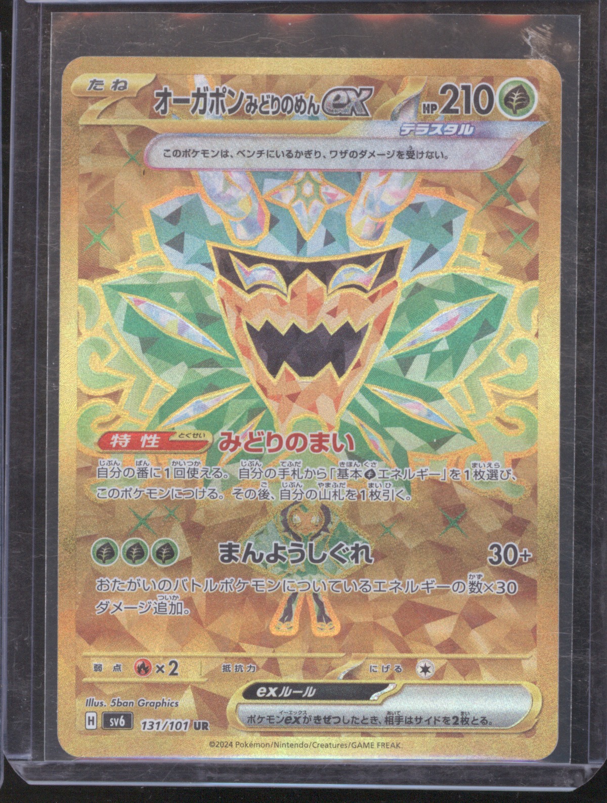 2024 Pokemon SV6 #131 Ogerpon ex — front