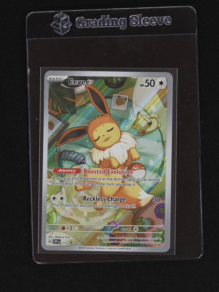 2025 Pokemon SV Black Star Promo #173 Eevee — front