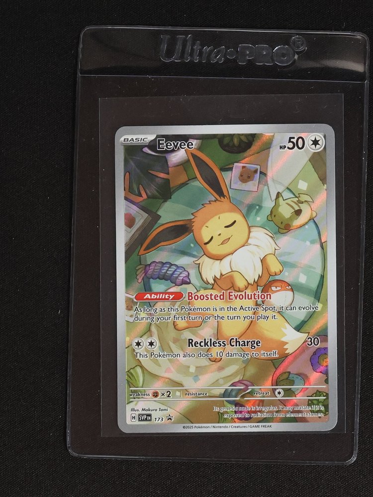 2025 Pokémon SVP EN #173 Eevee — front