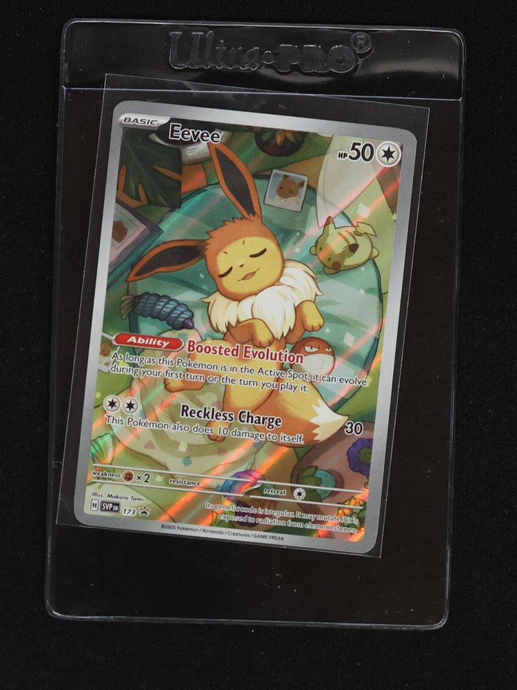 2025 Pokemon SV Black Star Promo #173 Eevee — front