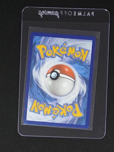 2024 Pokemon Card — front