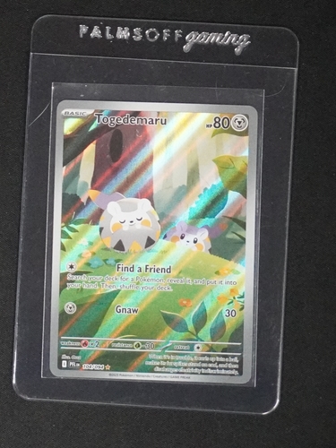2025 Pokémon #104 Togedemaru — front
