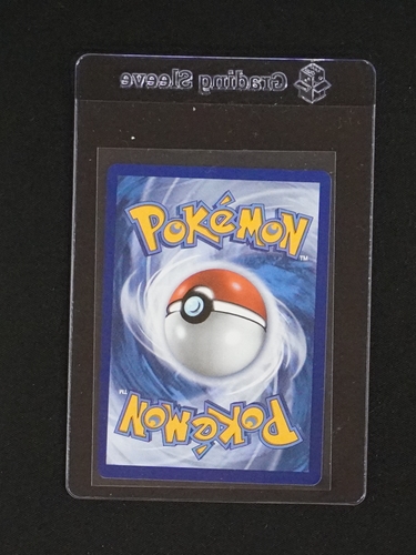 Pokémon Card Back — front