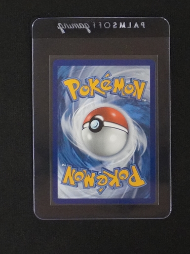 2024 Pokémon TCG Card Back — front