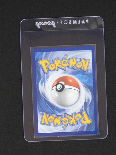 Pokémon TCG Card Back — front